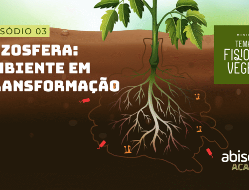 RIZOSFERA: AMBIENTE EM TRANSFORMAÇÃO (ep 03) / Minissérie: Temas em Fisiologia Vegetal