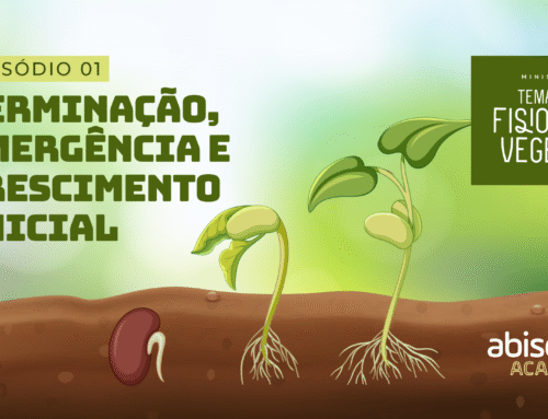 GERMINAÇÃO, EMERGÊNCIA E CRESCIMENTO INICIAL (ep 01) / Minissérie: Temas em Fisiologia Vegetal