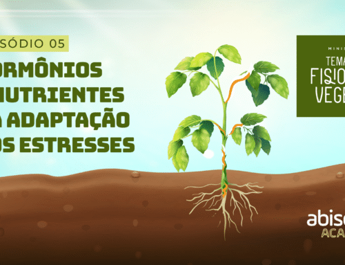 HORMÔNIOS E NUTRIENTES NA ADAPTAÇÃO AOS ESTRESSES (ep 05) / Minissérie: Temas em Fisiologia Vegetal